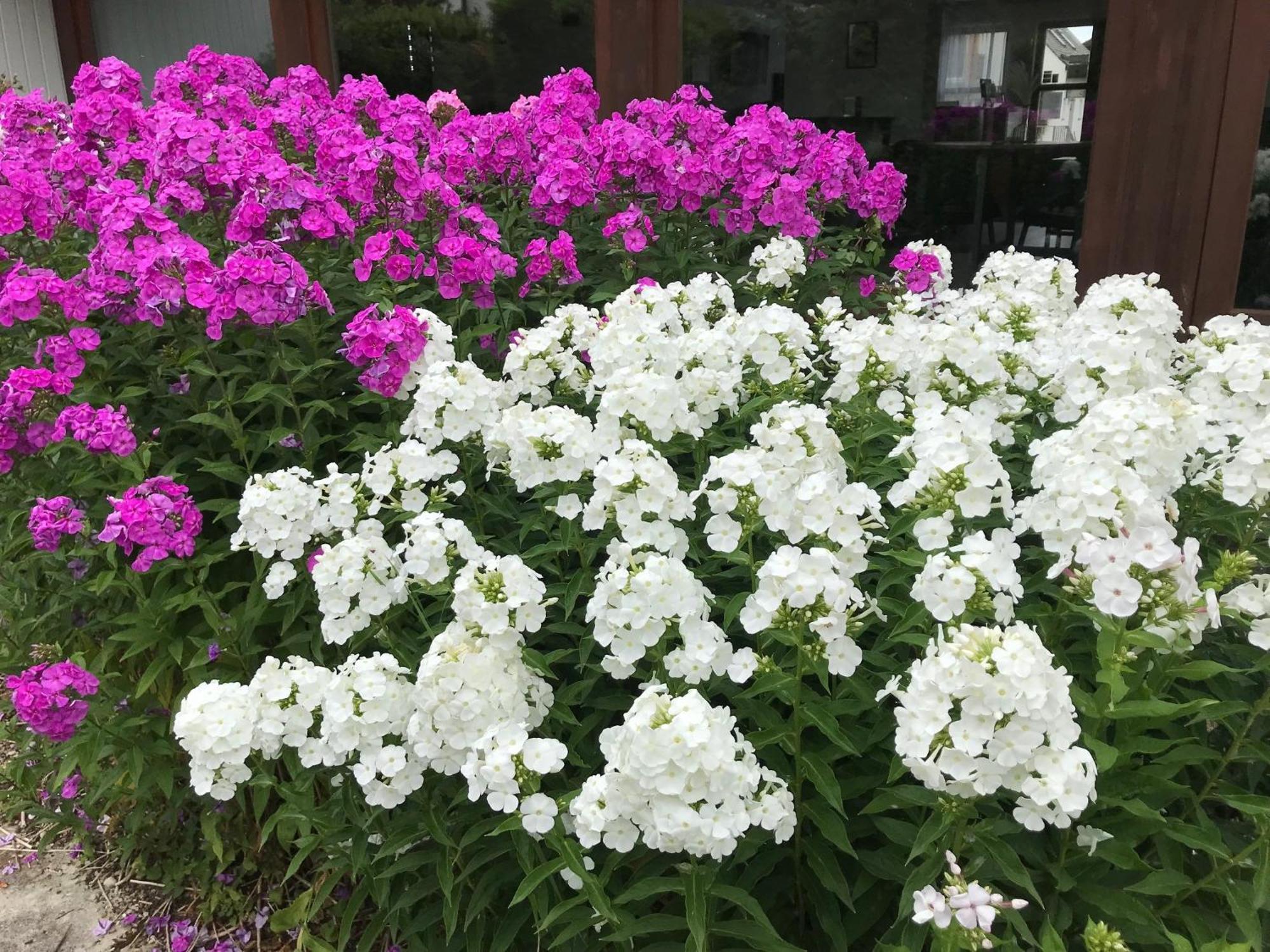 Abendruhe Hotel - Kontaktloser Check In โอเบอร์ฮาคิง ภายนอก รูปภาพ